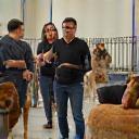 Petit groupe de maîtres et chiens