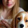 Élodie tenant son chiot Oréo